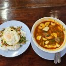 Cafe tang(카페탕)
