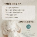 디어베어 이미지