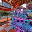 대빵인형뽑기(마곡점) 이미지