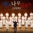 (공연) 파리나무십자가 소년합창단 크리스마스 특별초청공연 | 2024년 세종문화예술회관 &lt;파리나무십자가 소년합창단&gt; 특별 초청공연