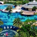 동양관광여행사 이미지