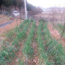 길원농장 이미지