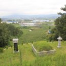 조성신도비 이미지