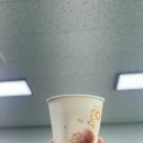 창원 반지동 반지테니스장 (반지테니스클럽) 후기