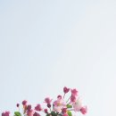 계양세무서 이미지