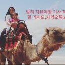 카멜 - 남구 | 카멜