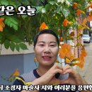 선물같은오늘 - 청주시 서원구 | 선물같은오늘