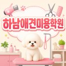 애견미용사 3급 자격증 과정 1 | 하남애견미용학원에서 애견미용사 되기! 자격증 취득 로드맵 5단계