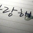 956 이미지