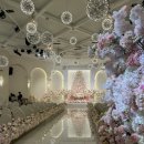 ㈜베리굿투어 | 일산웨딩홀 웨스턴빌리프 플래너 투어 후기, 베리굿 혜택