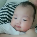 가성비 좋은 신생아 유산균 래디웰 베이비유산균 D드롭 내돈내산 후기
