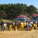 파도리 해수욕장 이미지