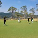 금왕읍 명품가로숲길 | [모나크CC] 충청도 음성 골프장, 4인, 2부 타임, 노캐디 가능, 라운드 후기