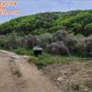 초일리 경로당 이미지