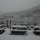 강림면320 이미지