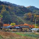 지토농장 이미지