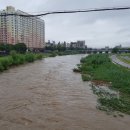 동구-21(대전천 이미지