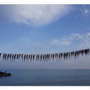 거진 만남의 광장 이미지