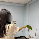 성내동1,2,4,5통통합 | 임신일기8. 32~34주차 기록! 아인병원 32주 검진, 34주 막달검사