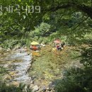 흥정계곡 409 이미지