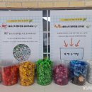 교동초병설유치원 이미지