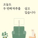 두번째하루