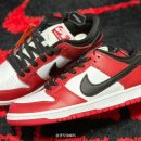 6817 | 나이키 SB 덩크 로우 프로 '시카고' 리셀 구매 후기, 디테일, BQ6817-600