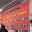 서울 3대 감자탕 석촌고분역 주은감자탕 내돈내산 솔직 후기
