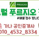 포유탐 - 원주시 웅비2길 33 | 포유탐
