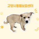 우식