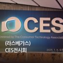 라스베이거스에서 만난 미래 기술, CES 2025 리뷰