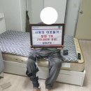 성림 이미지