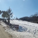 알멕스리조트 이미지
