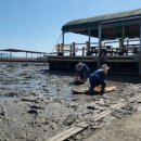 낙안읍성 참살이 민박 이미지