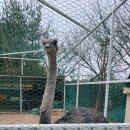 성호리조트사우나 이미지