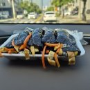 머믄자리 | 울산 남구 김밥 맛집 햇살머믄꼬마김밥 삼산점 내돈내산