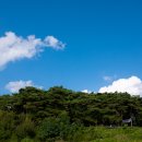 팔공산올레길 1코스 이미지