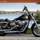 할리 데이비슨 기종들 - 스포스터&amp;다이나 바이크 모음 (下) 이미지