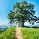 인생낙원 이미지