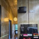 쑤기네 풀 이미지