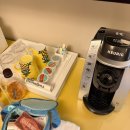 스테이호텔 | 샌프란시스코 스테이 파인애플 호텔 후기🍍