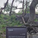 빗접바위 이미지