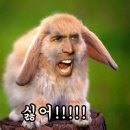 오타쿠 이미지