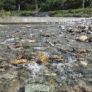 순천풋살장민박 이미지