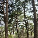 화부산주유소