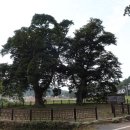 곰솔 경로당 이미지