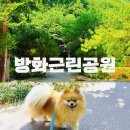 강서구애견동반 가볼만한곳 강서구공원 주말애견동반 가볼만한곳 방화근린공원 추천