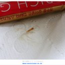골드 커피 이미지