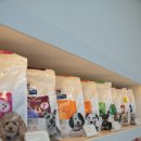 노형동물병원 이미지