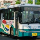 삼방동 신어중학교 ∼ 동원한일아파트 ∼ 삼방중앙교회 | 167. 주자1 : 장거리 희생양이 남긴 제물 - 김해 8